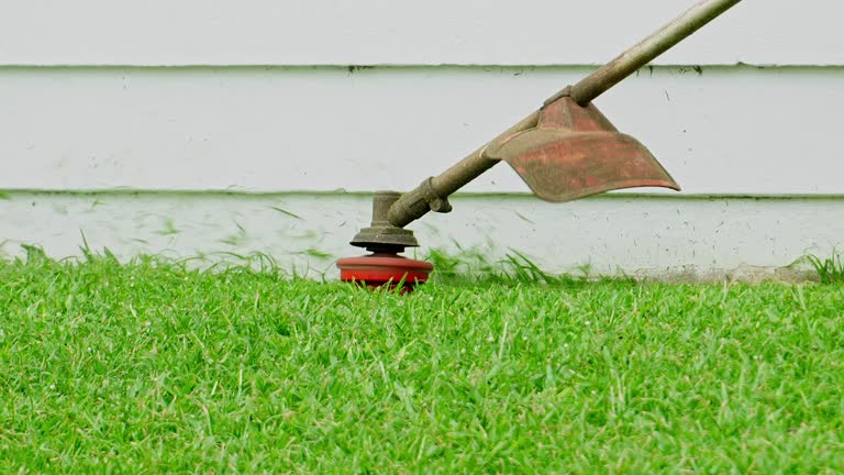 Best Lawn Drainage Solutions  in Craigsville, WV